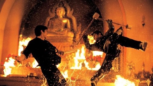 The Protector - Người Bảo Vệ - Hình 2