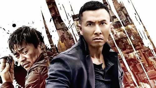 Kung Fu Jungle - Kế Hoạch Bí Ẩn - Hình 5